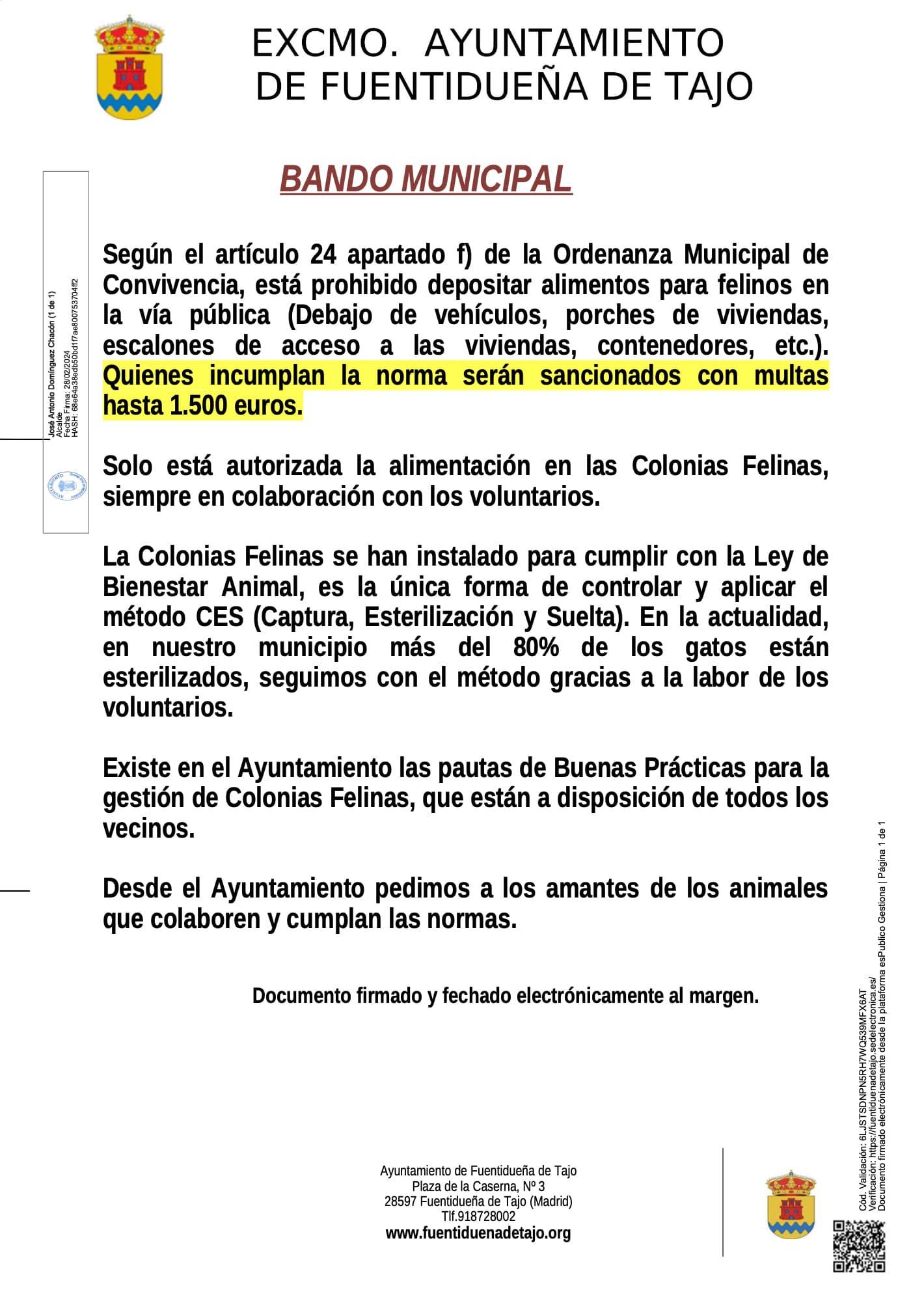 Colonias Felinas Ayuntamiento Fuentidue a